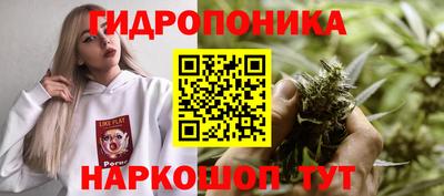 эйфоретик Лениногорск