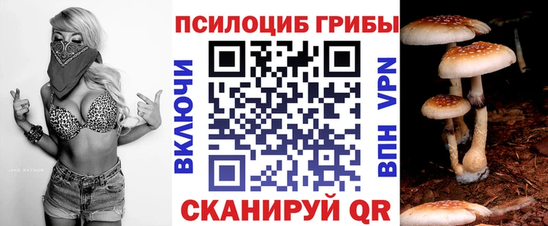 Псилоцибиновые грибы MAGIC MUSHROOMS даркнет сайт Хасавюрт