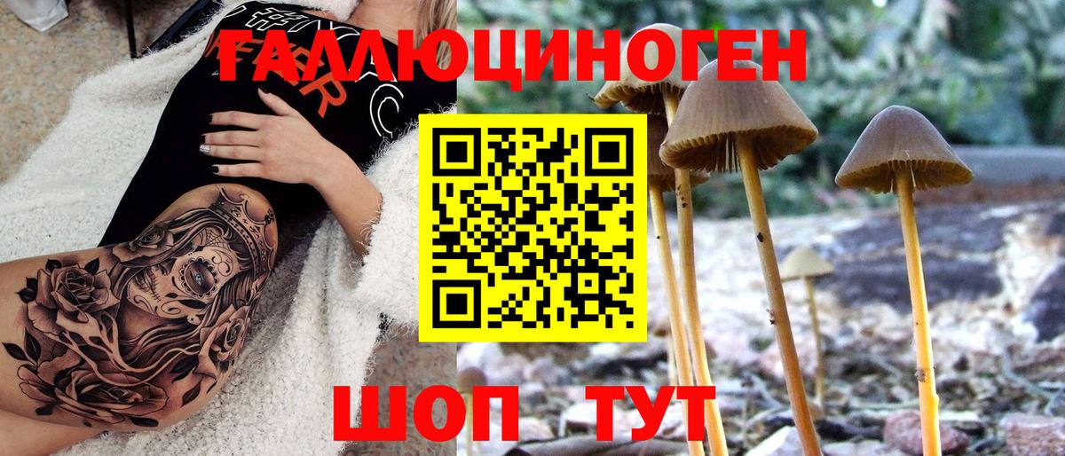 Галлюциногенные грибы прущие грибы Хасавюрт