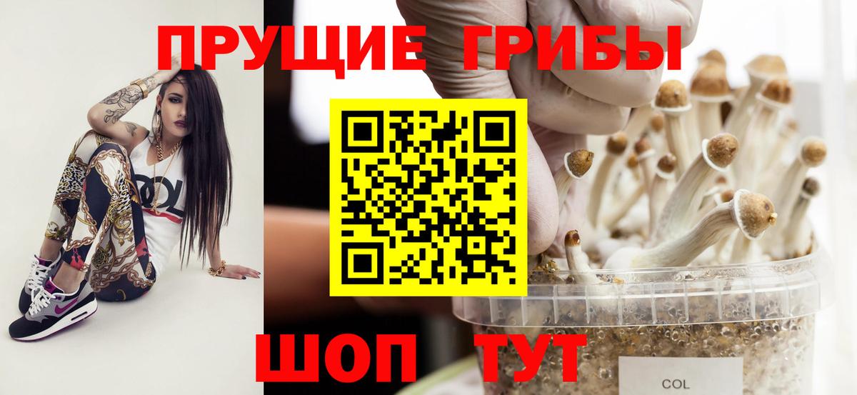 Хасавюрт  Псилоцибиновые грибы Cubensis  Вход с VPN 